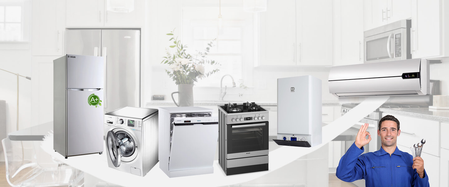 Darıca Grundig Servisi